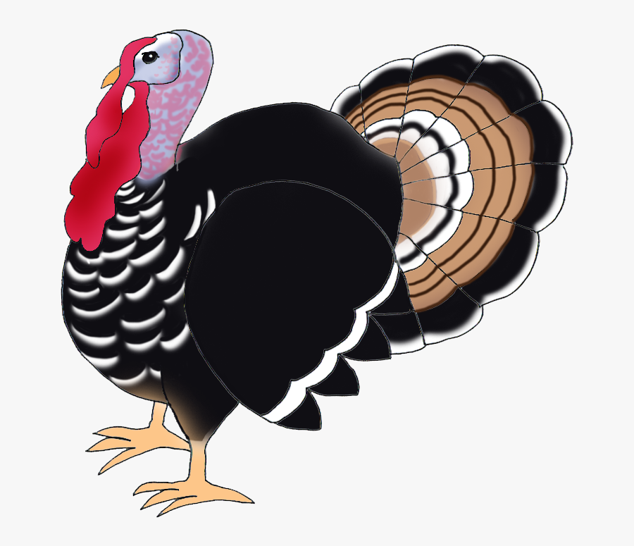 Thanksgiving Clip Art Turkey Bird - Turkey Animals Png, Transparent Clipart