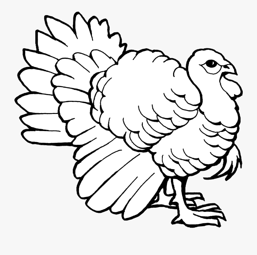 Turkey Clip Art Outline Black And White Transparent - Colouring Page Of Turkey, Transparent Clipart