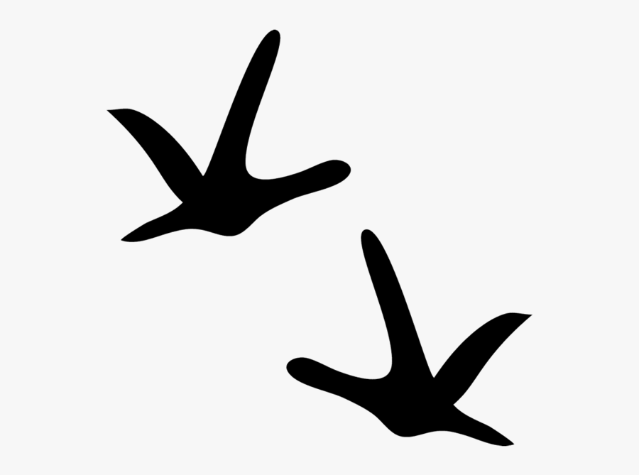 Transparent Clip Art Turkey - Clip Art, Transparent Clipart