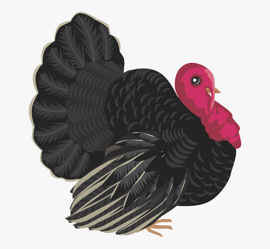 Turkey, Transparent Clipart
