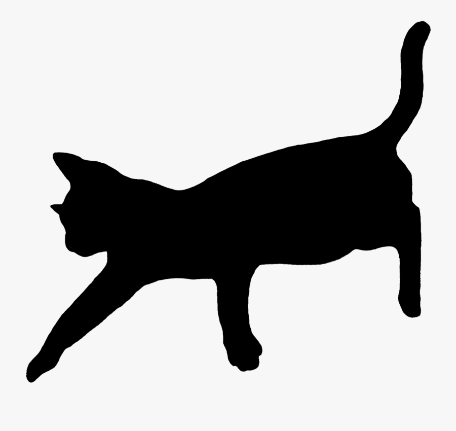 Cat Clip Art Cat Sketches Cat Drawings Graphics Buhqfd - Domestic Short-haired Cat, Transparent Clipart