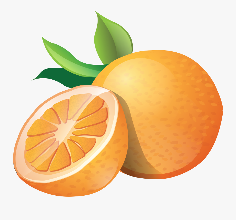 Orange Png Image Free Download - Orange Clipart, Transparent Clipart
