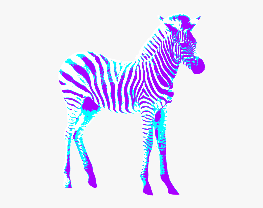 Zebra, Colorful, Art, Creative, Purple, Blue, Crosswalk - Zebra Invitacion De Cumpeaños, Transparent Clipart