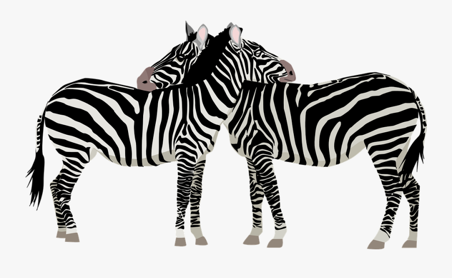 Zebras - Zebras Clipart Black And White, Transparent Clipart