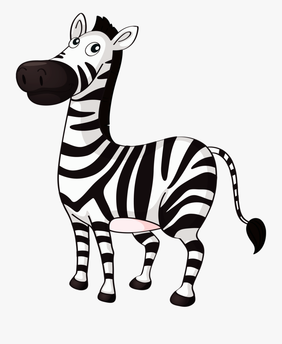 Clip Art Clip Art Zebra - Zebra Clipart Black And White, Transparent Clipart