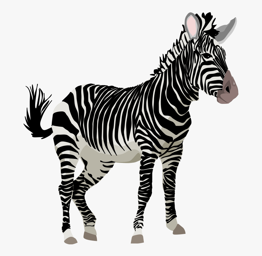 Cute Zebra Clipart Free Images - Zebra Clipart, Transparent Clipart