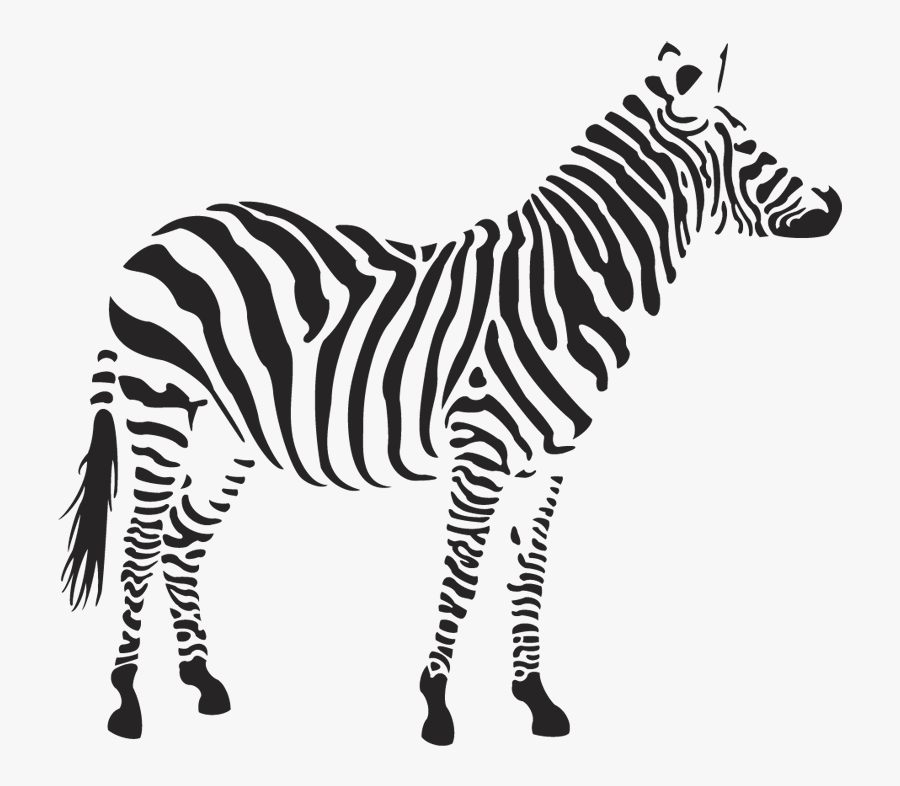 Zebra Clipart Front View Pencil And In Color Zebra - Zebra Png, Transparent Clipart