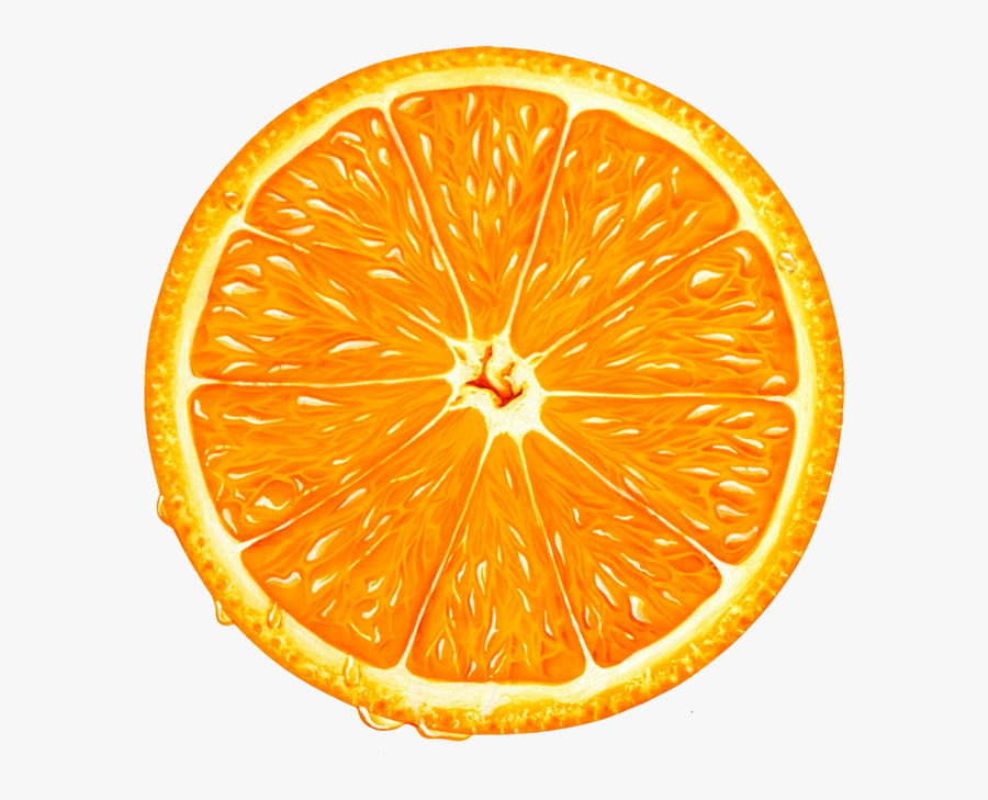 Orange Slice Png Clipart - Orange Slice Vector Png, Transparent Clipart