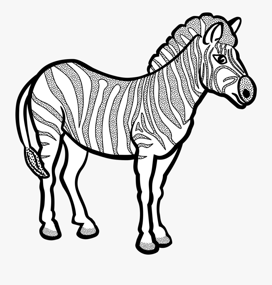 Zebra - Lineart - Clipart Black And White Zebra, Transparent Clipart