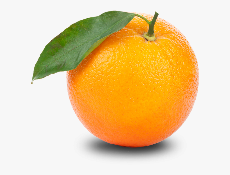 Orange Png Clipart - Orange Clipart Transparent Background, Transparent Clipart