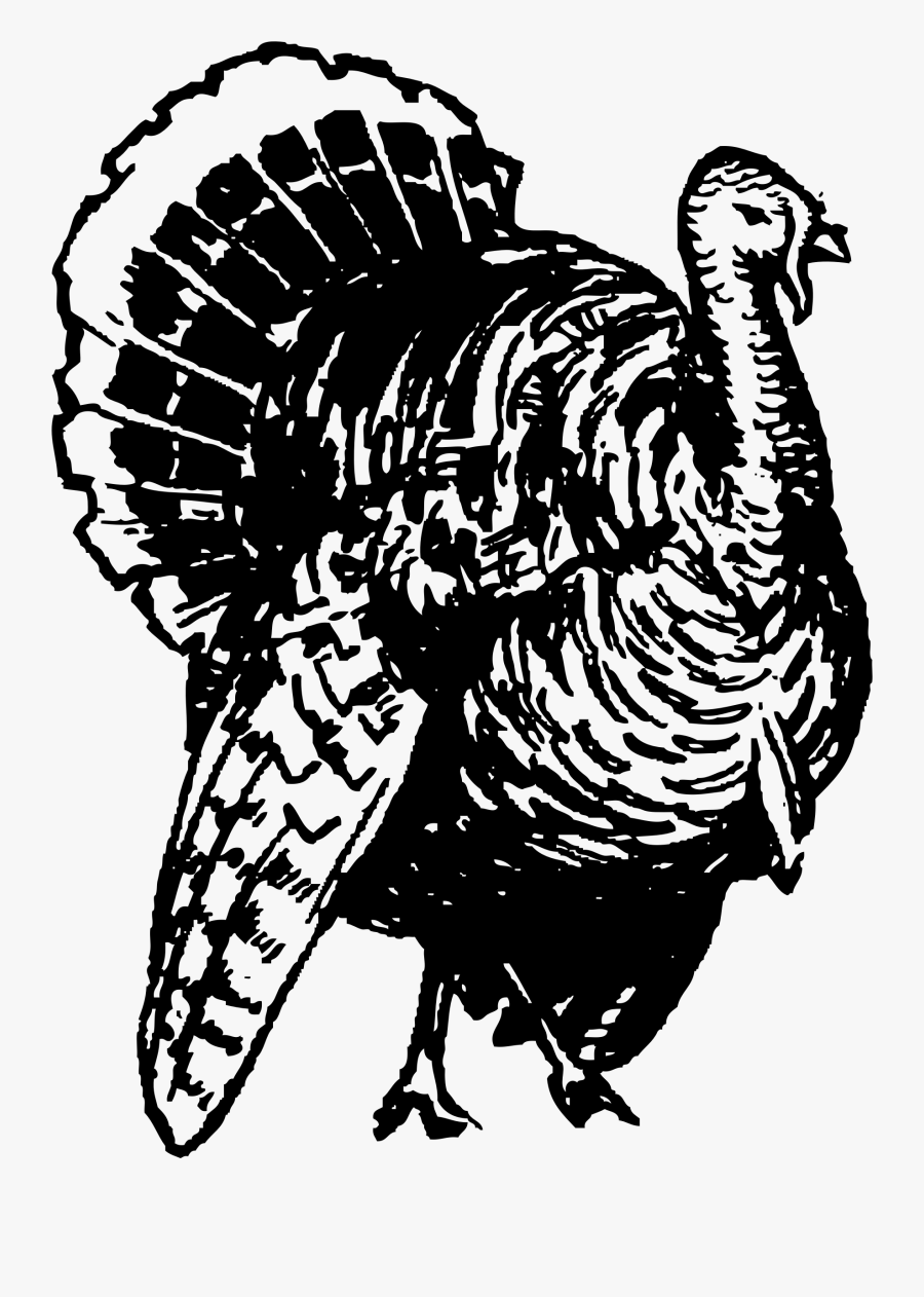 Turkey Clipart Photo Download - Black Turkey Png, Transparent Clipart