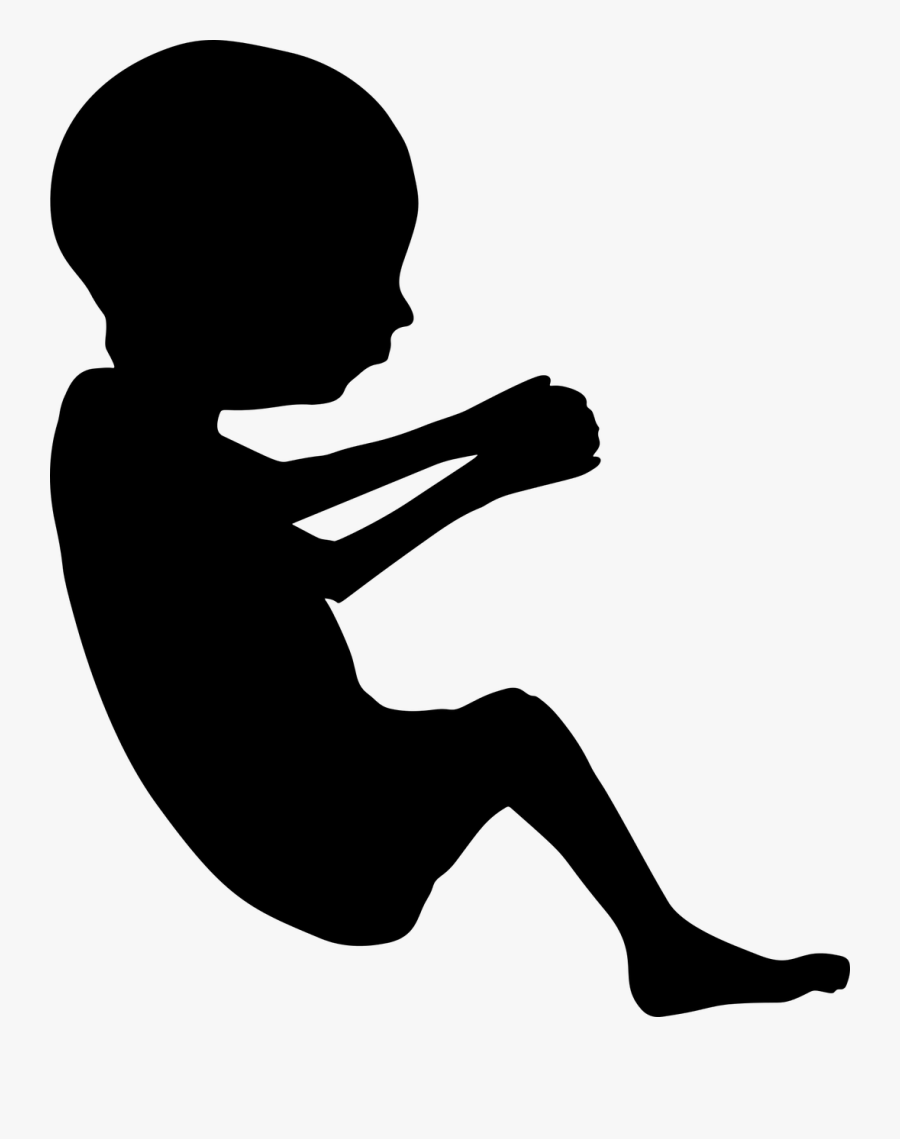 Fetus Pregnancy Mother Placenta Clip Art - Fetus Png, Transparent Clipart