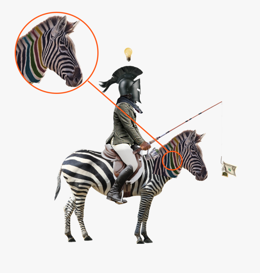 Zebra Clipart , Png Download - Photograph, Transparent Clipart