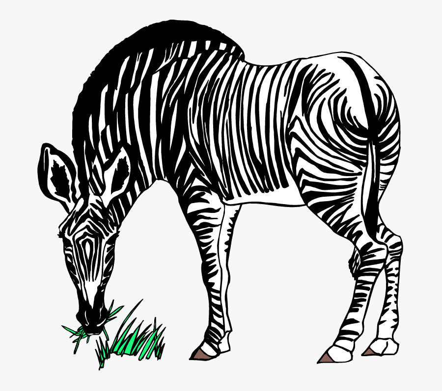 Free Zebra Clipart 2 Clipartandscrap - Zebra Eating Grass Clipart, Transparent Clipart