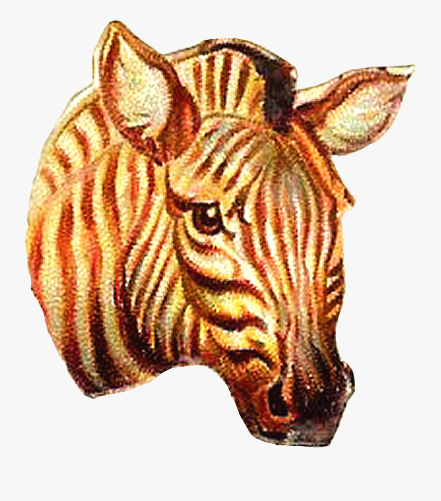 Zebra, Transparent Clipart