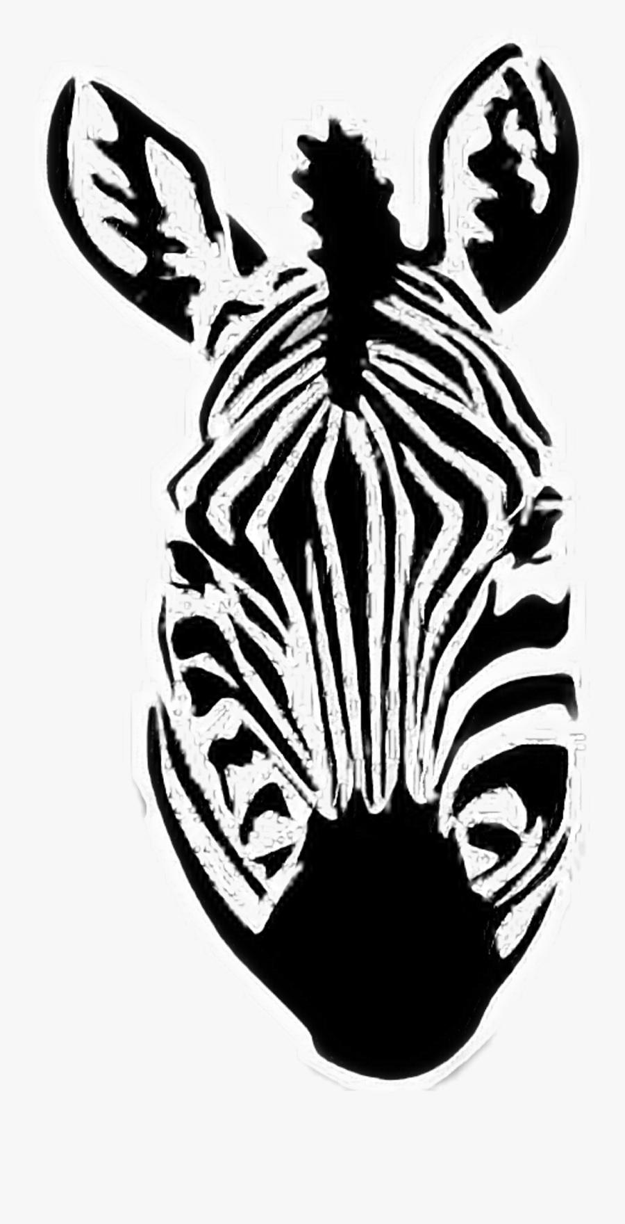 Zebra Sticker Clipart , Png Download - Zebra Front View Drawing, Transparent Clipart