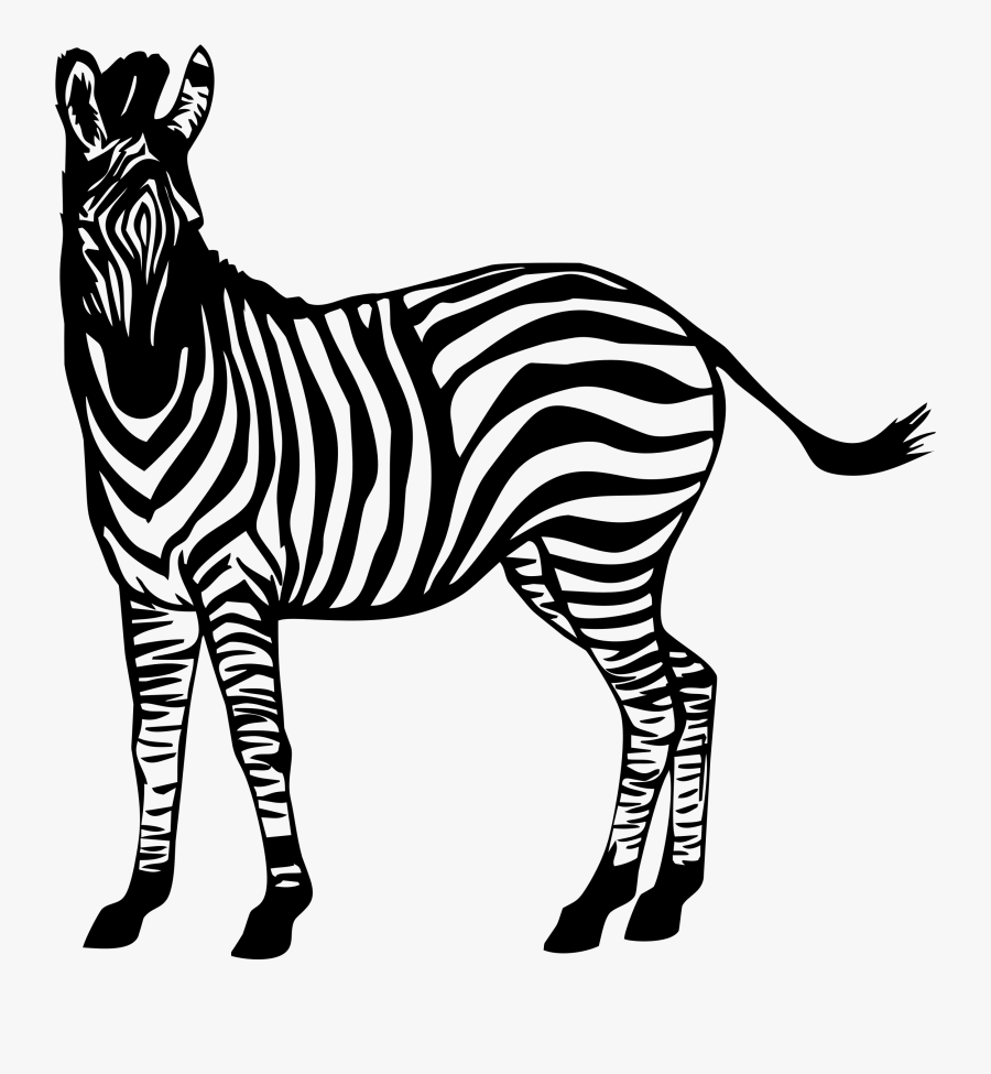 Transparent Zebra Clipart - Zebra Drawing Png, Transparent Clipart