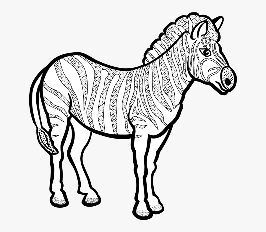 Line Art Zebra Black And White - Clipart Black And White Zebra, Transparent Clipart