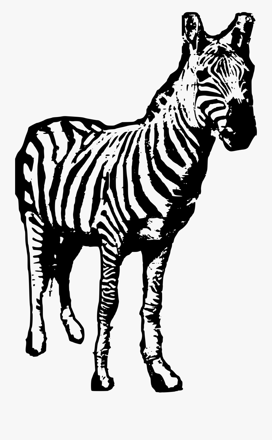 Monochrome - ציור זברה שחור לבן, Transparent Clipart
