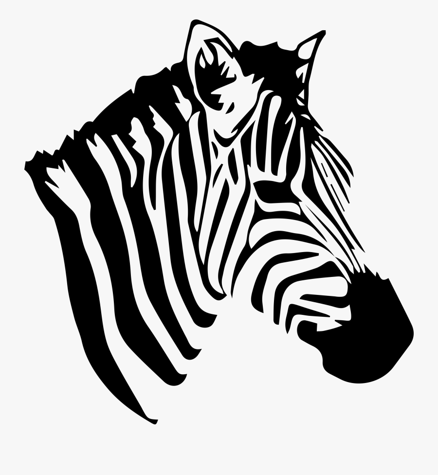 Zebra, Transparent Clipart