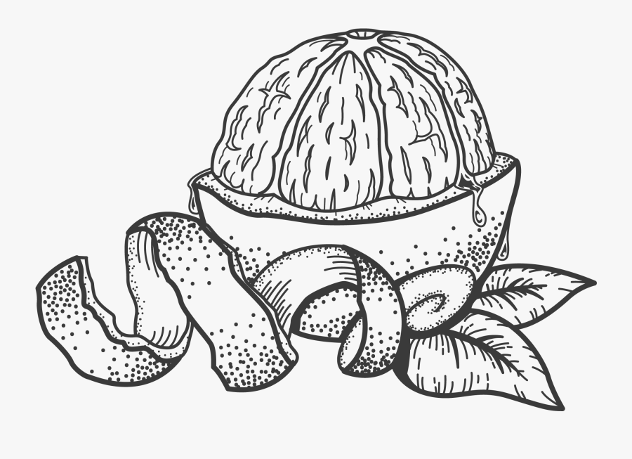 Sidecar Orangepeel Orange Peel Line Drawing , Free Transparent