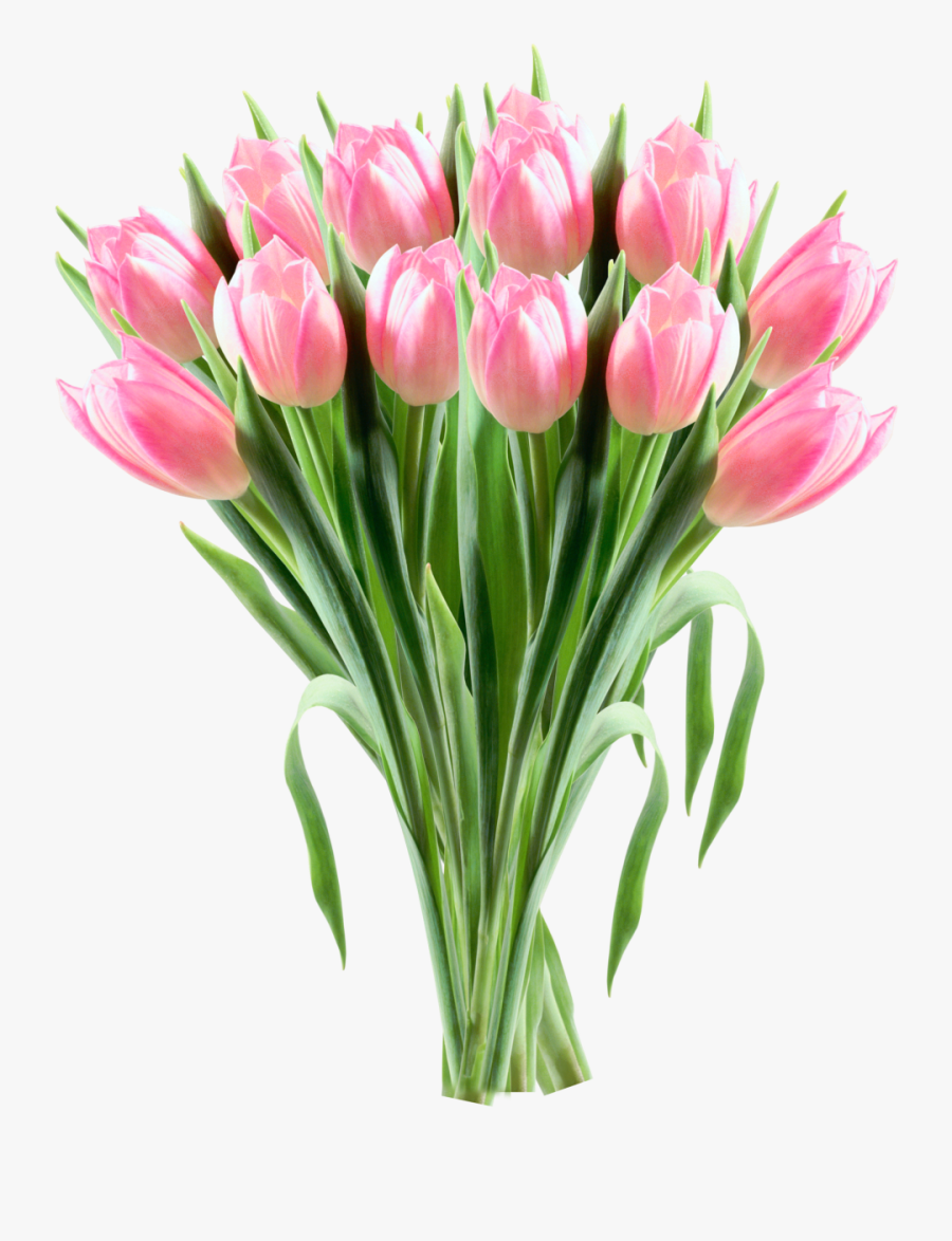 Tulips Clipart Bucket Flower - Tulip Transparent Icon Png, Transparent Clipart