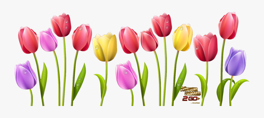Clipart Transparent Library Spring Is Here Skagit - Tulips Clip Art, Transparent Clipart