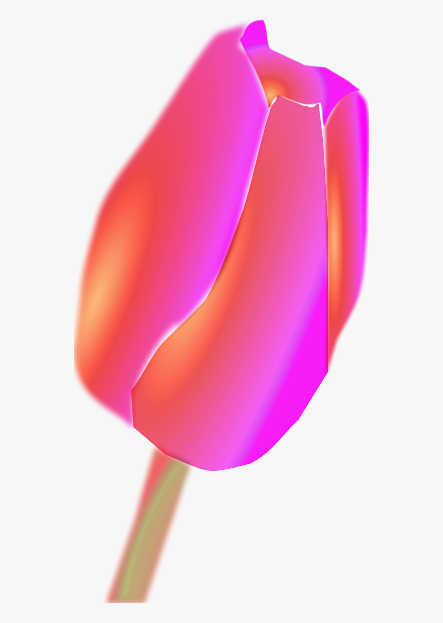 Vector Clip Art - Close-up, Transparent Clipart