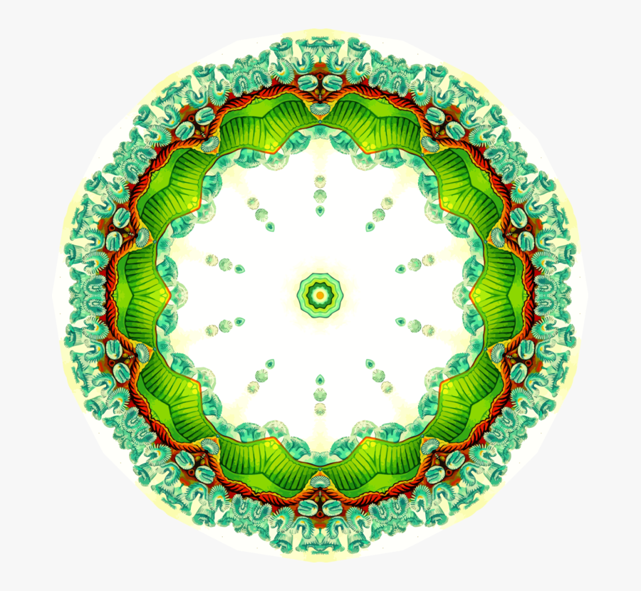 Circle,platter,green - Circle, Transparent Clipart