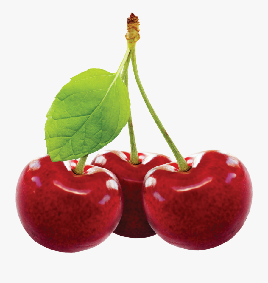 Cherry Fruit Png, Transparent Clipart