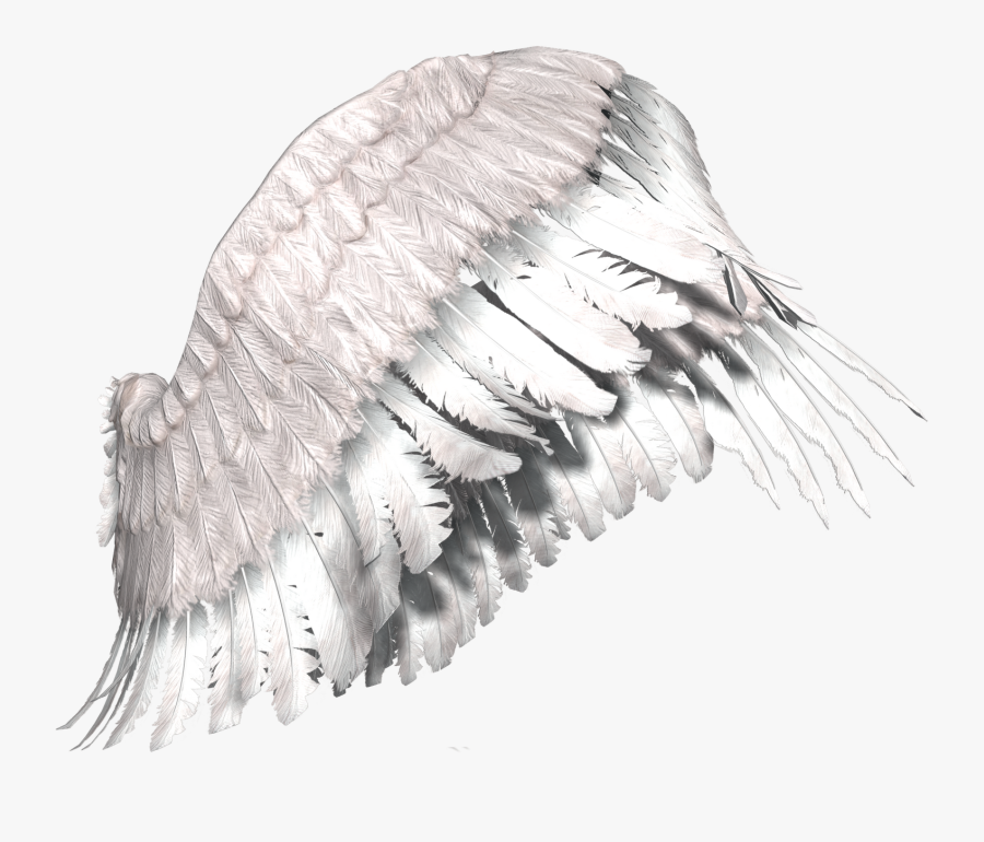 Transparent Asas De Anjo Png - Asas De Anjo Png, Transparent Clipart