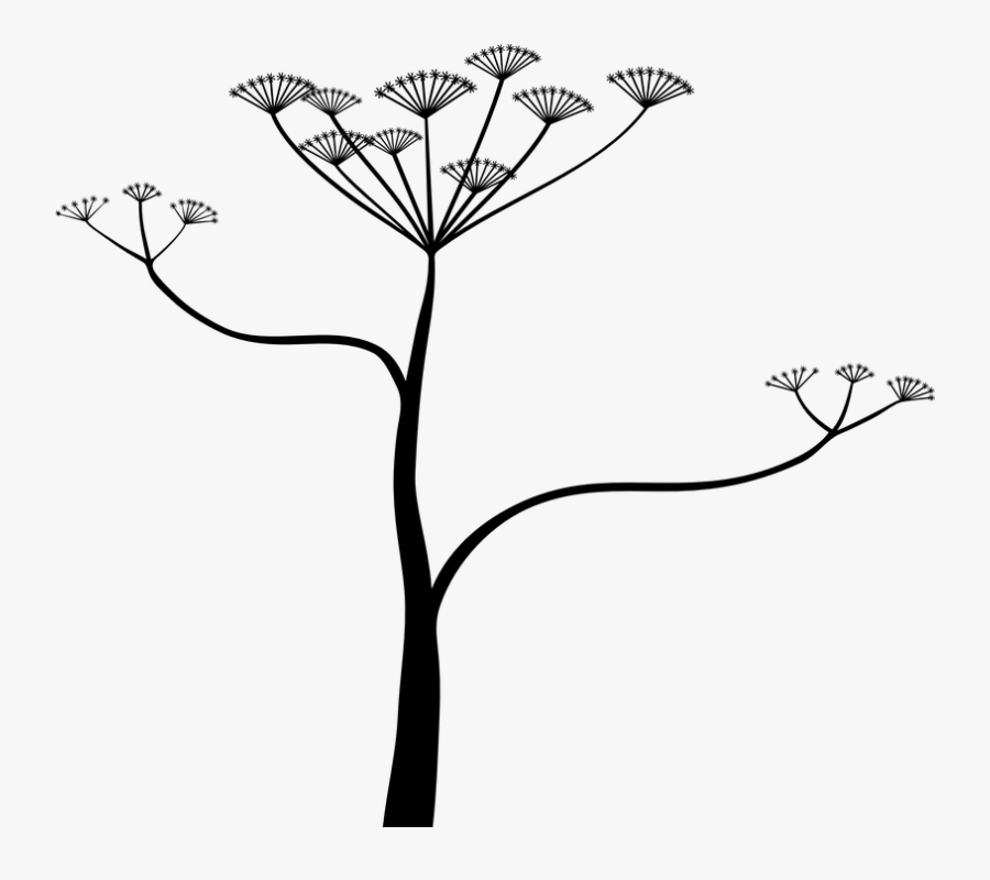 Cicuta Png, Transparent Clipart