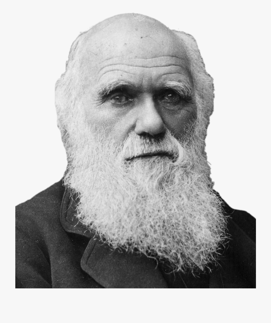 Дарвин это. Дарвин портрет.
