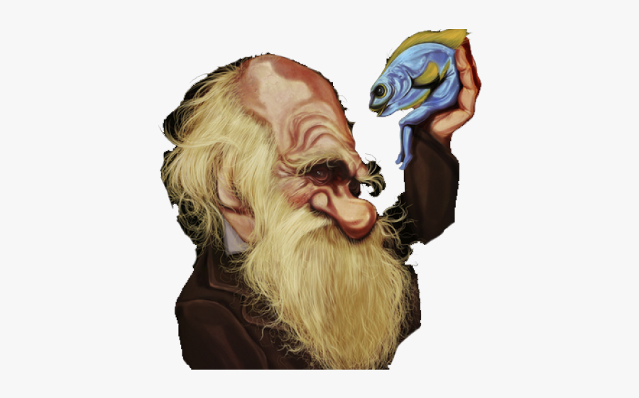 Darwin Cliparts - Darwin Clipart, Transparent Clipart