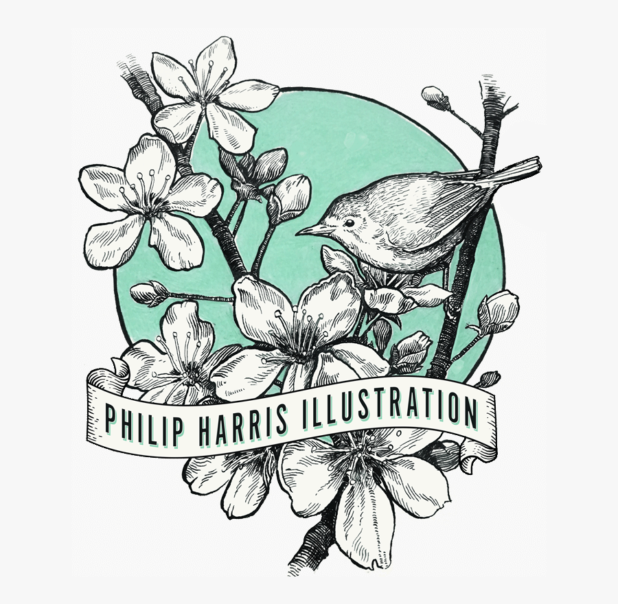 Transparent Charles Darwin Clipart - Philip Harris Illustration, Transparent Clipart