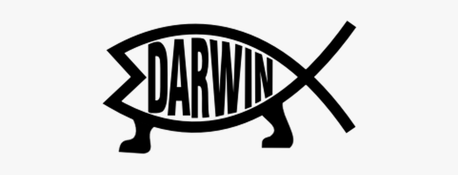 Darwin Evolution Symbol - Darwin Fish Png, Transparent Clipart