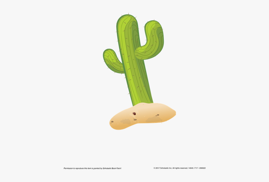 San Pedro Cactus, Transparent Clipart