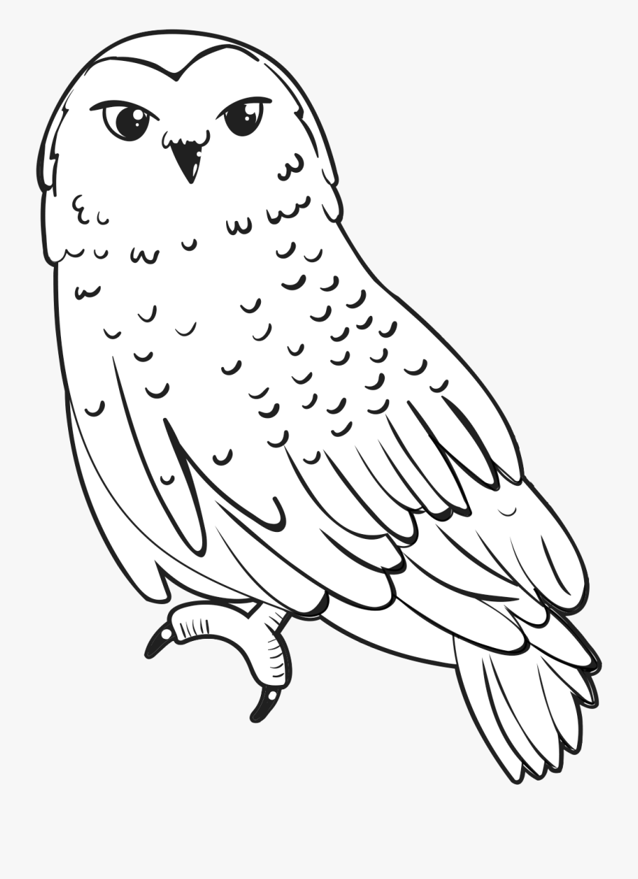 snowy-owl-coloring-page-free-download-goodimg-co