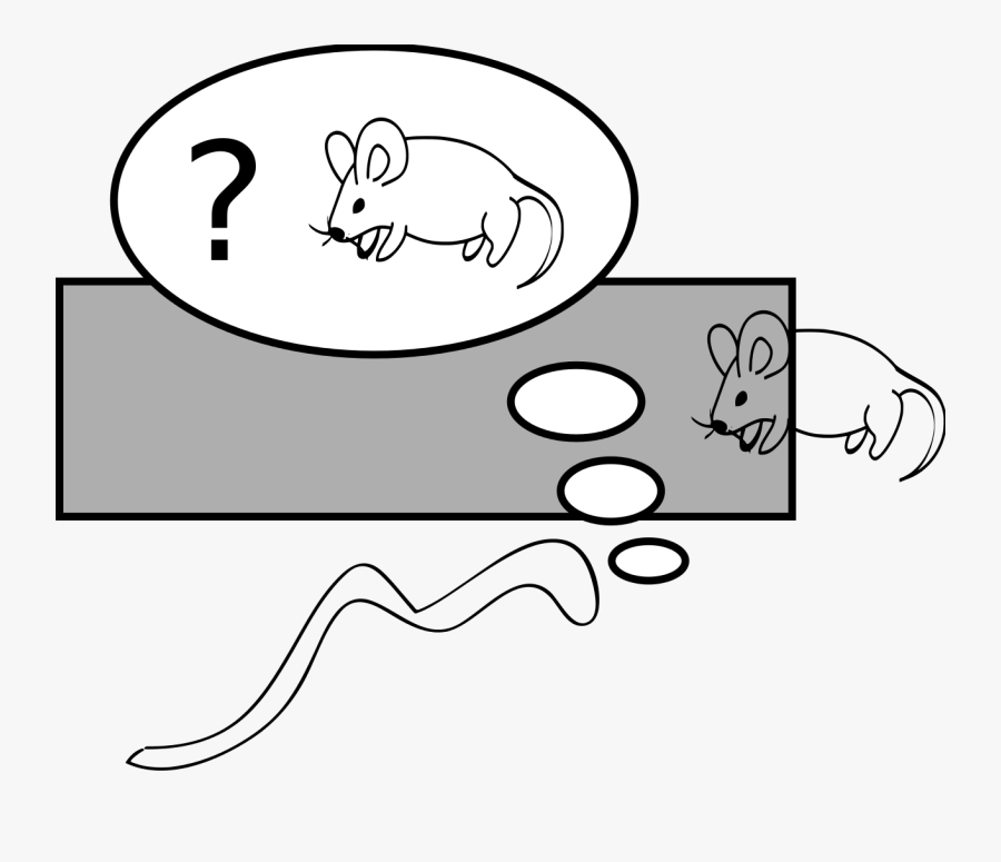 Drawing Of A Mouse, Transparent Clipart