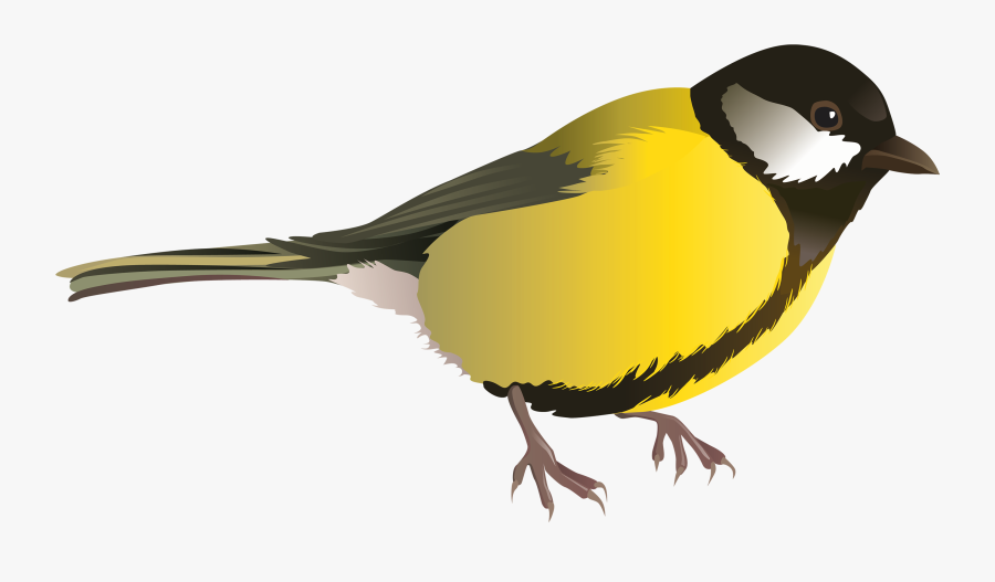 Clipart Of Birds, Realistic And Bird - Синица На Прозрачном Фоне, Transparent Clipart