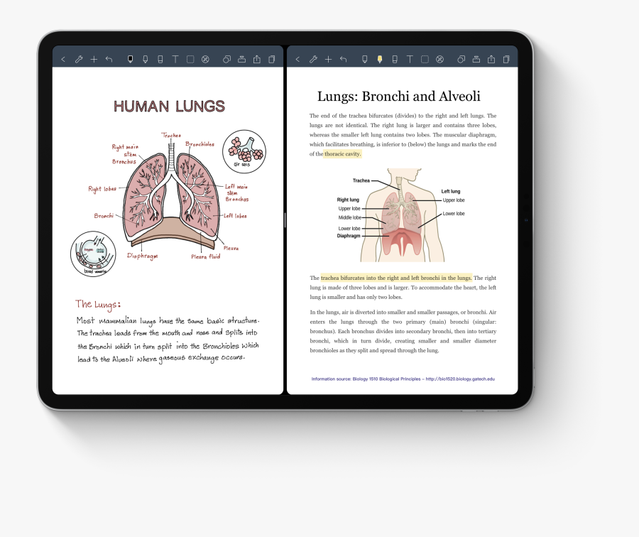 Diagram, Transparent Clipart