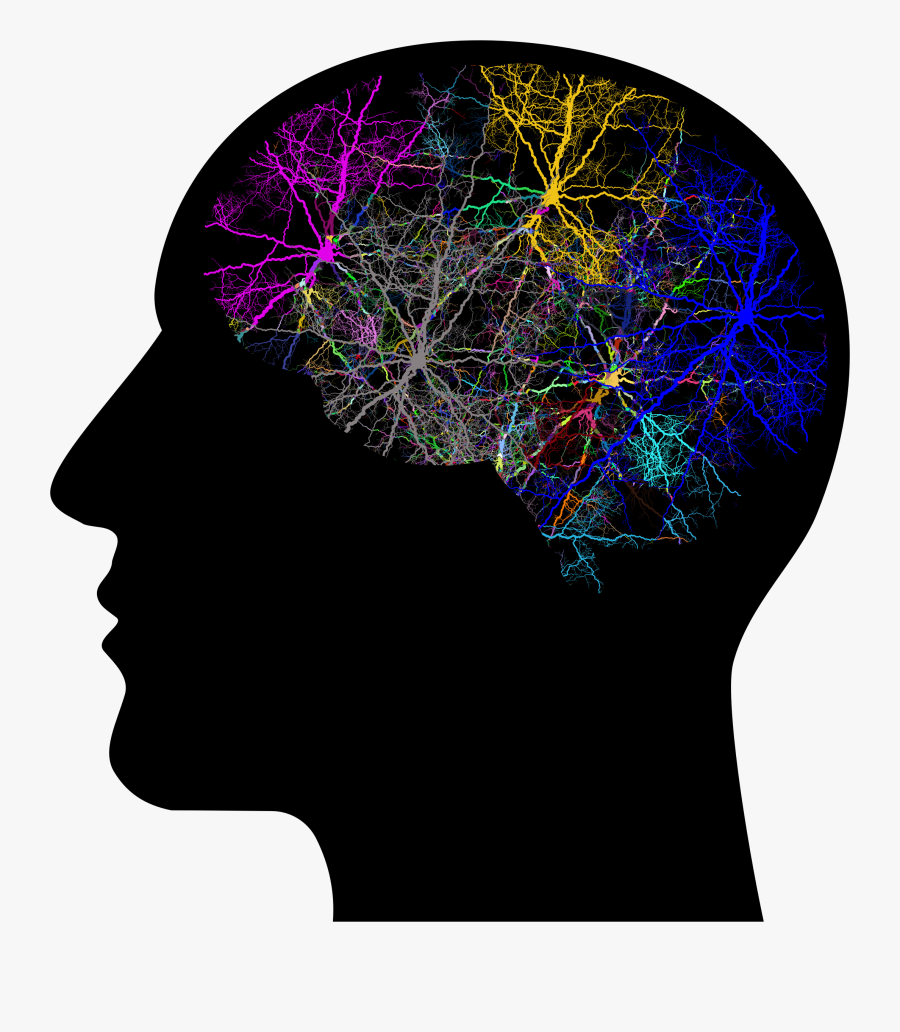Transparent Cogs Clipart - Cerebro Con Neuronas, Transparent Clipart