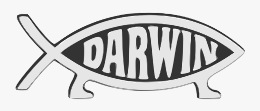 Darwin Bumper Sticker, Transparent Clipart