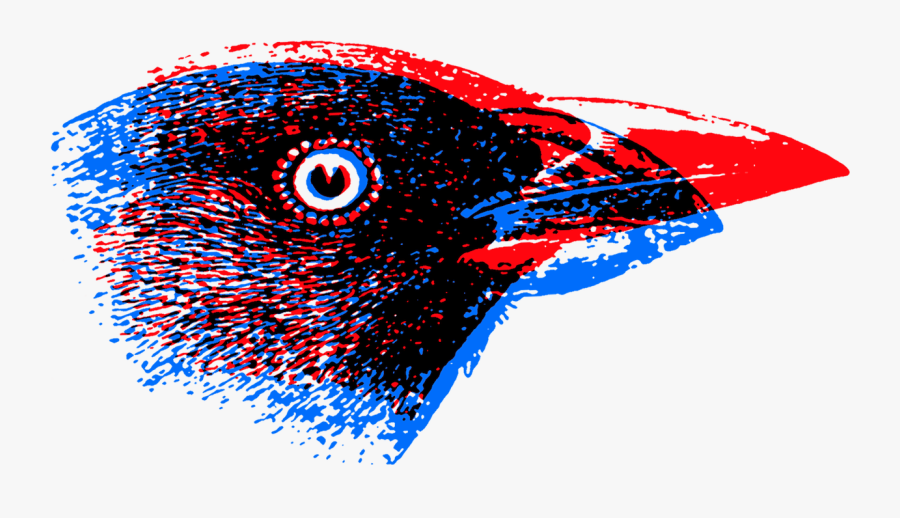 Bird Head Logo - Origin Of Species By Means, Transparent Clipart