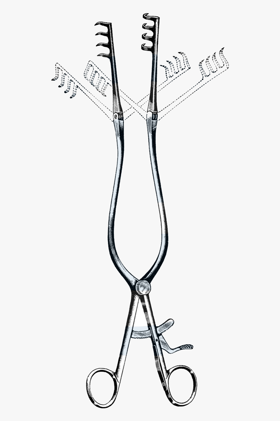 Drawing, Transparent Clipart