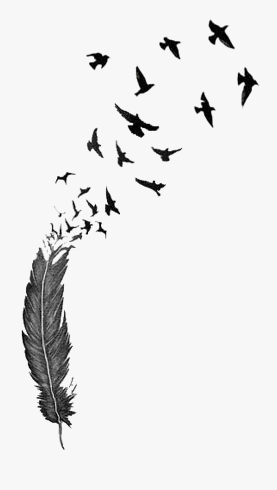 Bird Feather Tattoo Drawing Clip Art - Flying Birds Tattoo Designs, Transparent Clipart