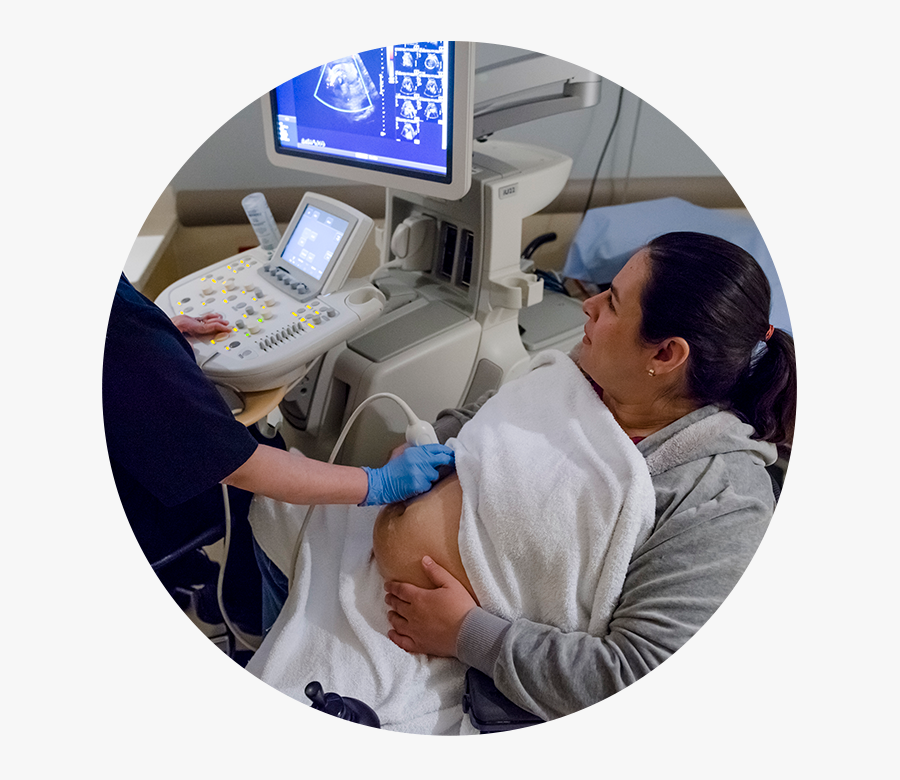 Dr Andrea Page Sunnybrook, Transparent Clipart