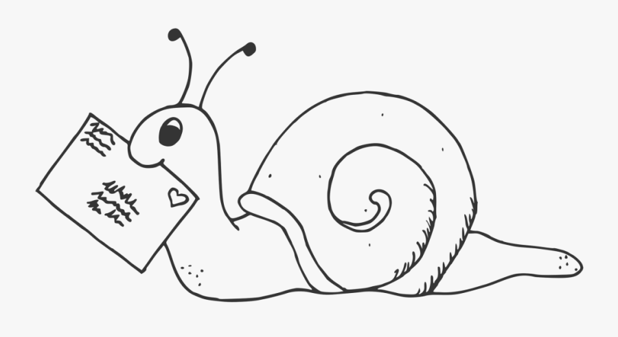 Snail Clipart Head - Cartoon, Transparent Clipart