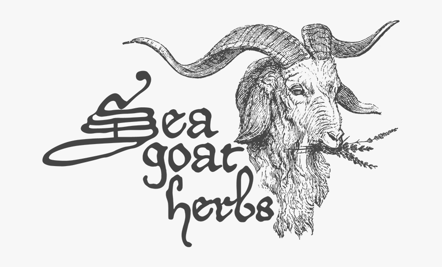 Clip Art Sea Goat Herbs Reishi - Sea Goat, Transparent Clipart