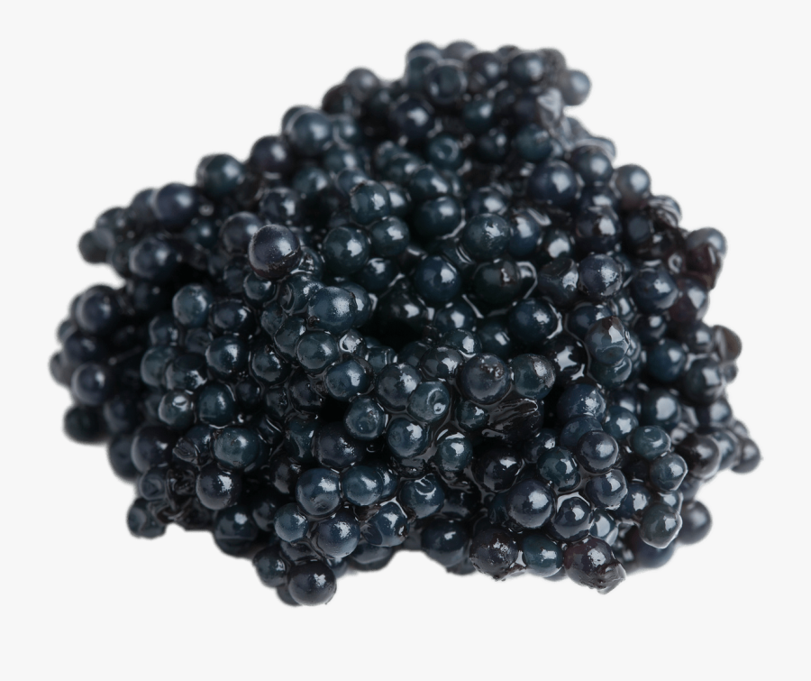 Hackleback Caviar - Black Caviar, Transparent Clipart